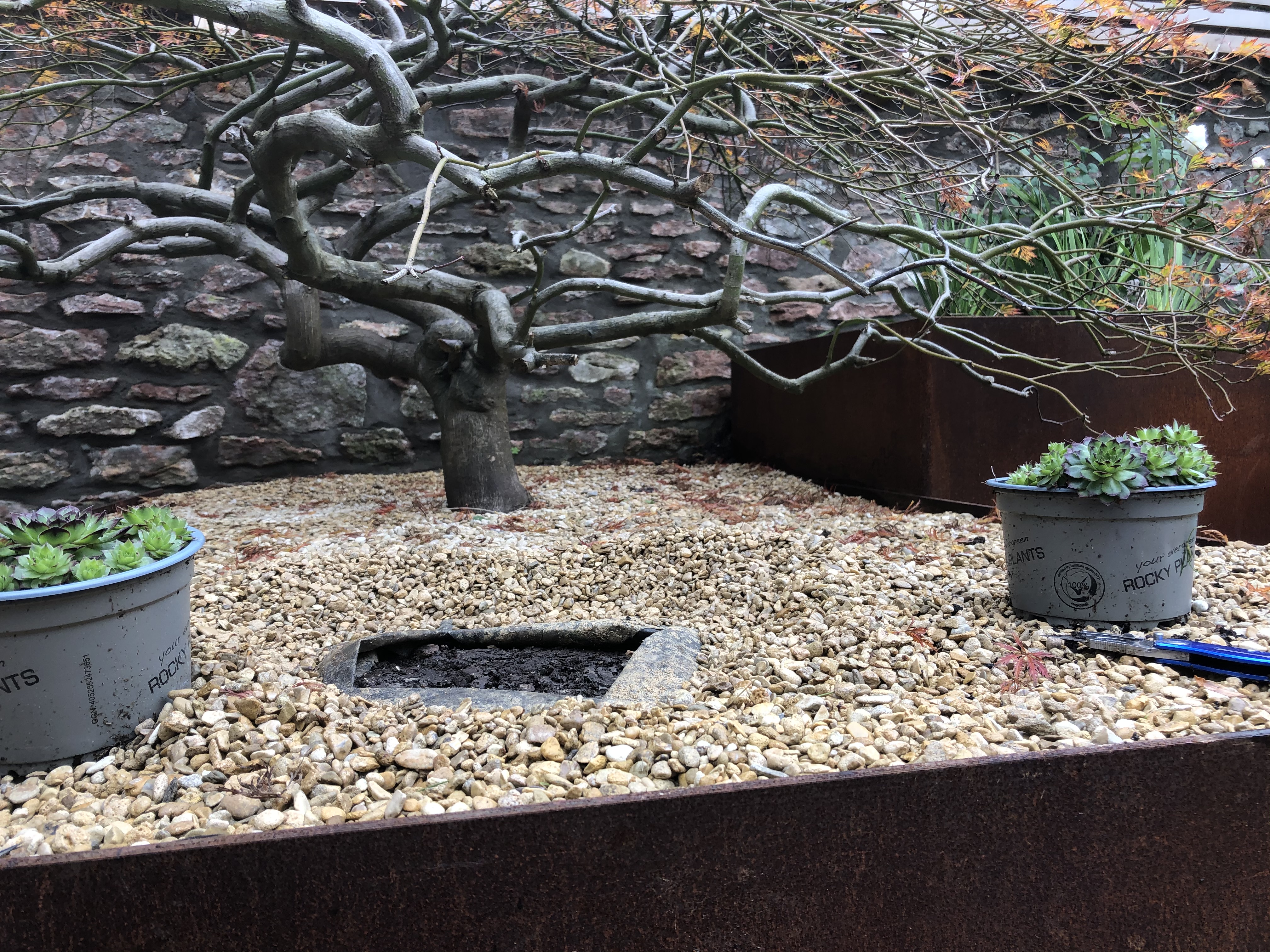 Corten Steel Beds